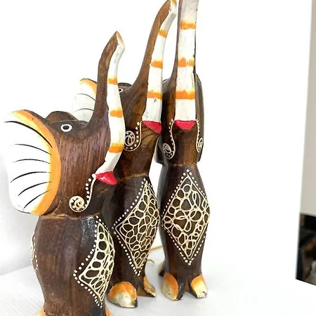 Felicity Super Burgas