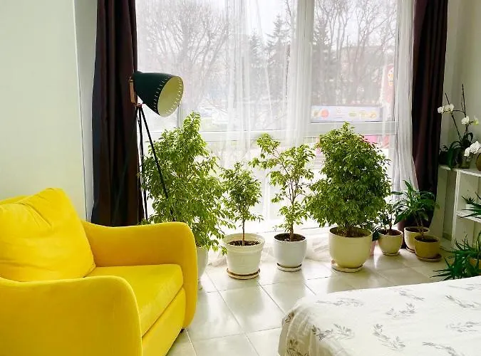 Apartman Felicity Super