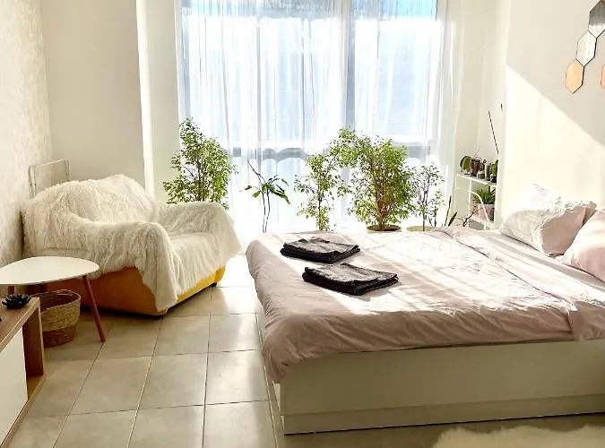 Felicity Super Burgaz